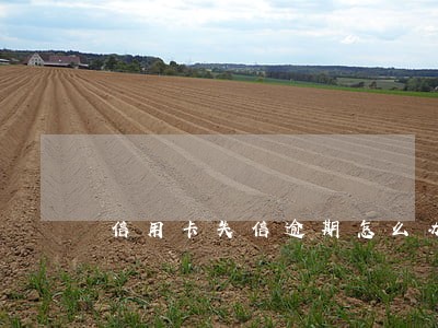 信用卡失信逾期怎么办 信用卡失信逾期怎么办