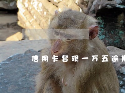 信用卡套现一万五逾期未还