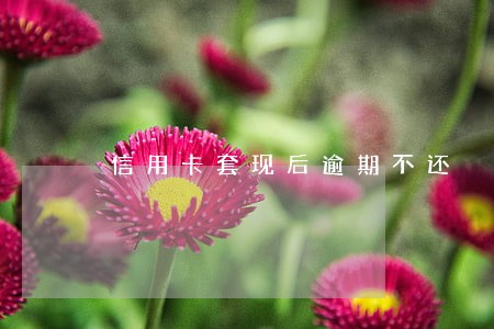 信用卡套现后逾期不还 信用卡套现后逾期不还