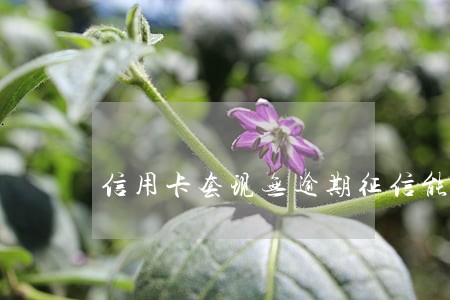 信用卡套现无逾期征信能过吗