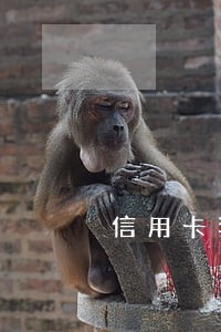 信用卡套现没有逾期
