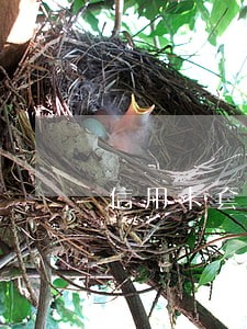 信用卡套现被冻逾期