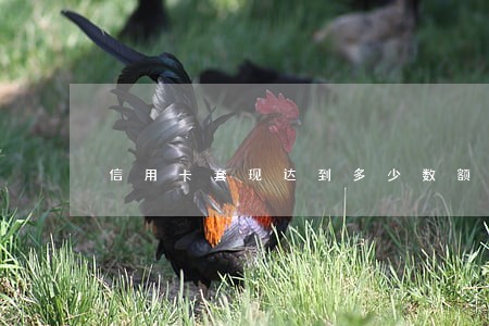 信用卡套现达到多少数额算违法 信用卡套现达到多少数额算违法