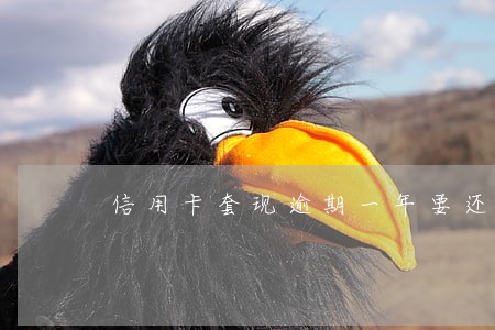信用卡套现逾期一年要还多少 信用卡套现逾期一年要还多少