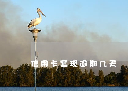 信用卡套现逾期几天 信用卡套现逾期几天