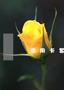 信用卡套现逾期利息是多少