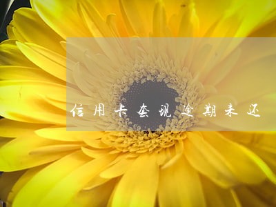 信用卡套现逾期未还