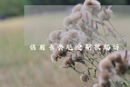 信用卡套现逾期被起诉 信用卡套现逾期被起诉