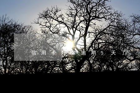 信用卡好像逾期5天了 信用卡好像逾期5天了