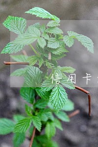 信用卡好几个分期逾期 信用卡好几个分期逾期