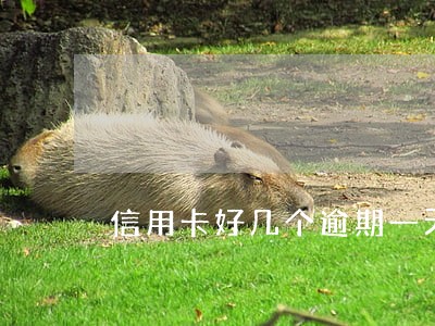 信用卡好几个逾期一天 信用卡好几个逾期一天