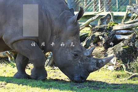 信用卡好几个银行都有逾期 信用卡好几个银行都有逾期