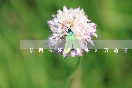 信用卡好几张卡8万逾期