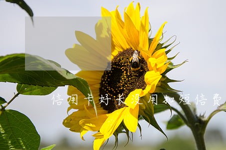 信用卡好长没用扣短信费逾期 信用卡好长没用扣短信费逾期