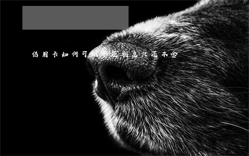 信用卡如何可以不还利息只还本金 信用卡如何可以不还利息只还本金
