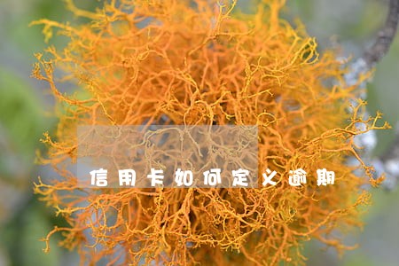 信用卡如何定义逾期 信用卡如何定义逾期