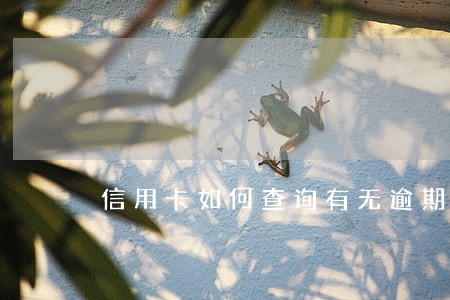 信用卡如何查询有无逾期