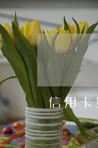 信用卡如何看到逾期了 信用卡如何看到逾期了