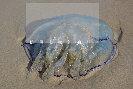 信用卡如何逾期 信用卡如何逾期