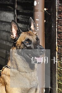 信用卡如果逾期一天 信用卡如果逾期一天