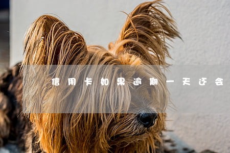 信用卡如果逾期一天还会怎样 信用卡如果逾期一天还会怎样