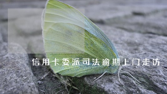 信用卡委派司法逾期上门走访 信用卡委派司法逾期上门走访