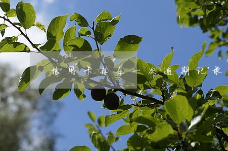 信用卡存在一次逾期记录 信用卡存在一次逾期记录
