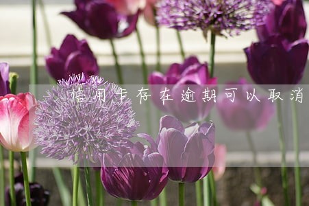 信用卡存在逾期可以取消记录吗 信用卡存在逾期可以取消记录吗
