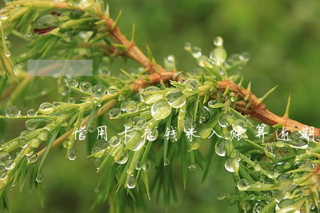 信用卡存钱未入账算逾期么 信用卡存钱未入账算逾期么