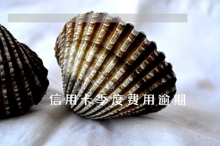 信用卡季度费用逾期 信用卡季度费用逾期