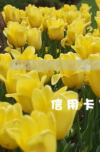 信用卡客户逾期原因 信用卡客户逾期原因