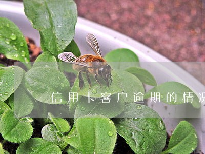 信用卡客户逾期的情况说明 信用卡客户逾期的情况说明