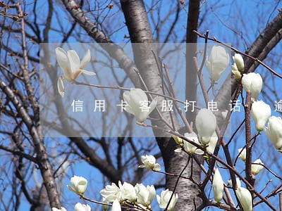 信用卡客服打电话说逾期 信用卡客服打电话说逾期