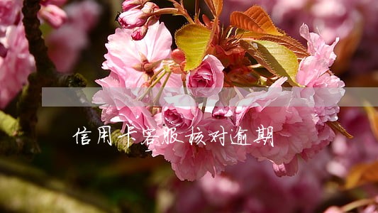 信用卡客服核对逾期