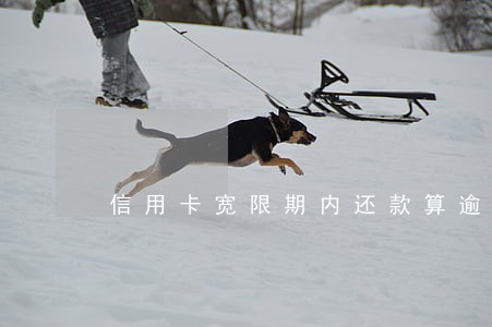 信用卡宽限期内还款算逾期么 信用卡宽限期内还款算逾期么