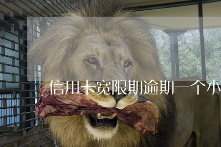 信用卡宽限期逾期一个小时 信用卡宽限期逾期一个小时
