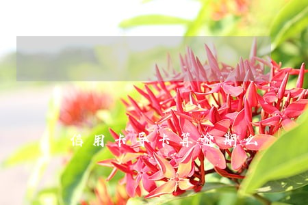 信用卡导卡算逾期么