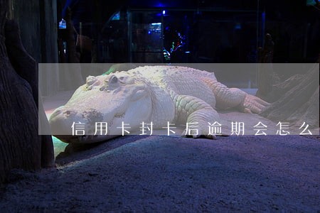 信用卡封卡后逾期会怎么样 信用卡封卡后逾期会怎么样