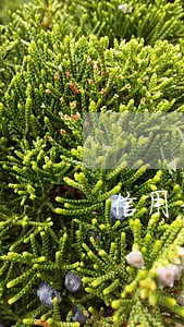 信用卡小贷平台逾期