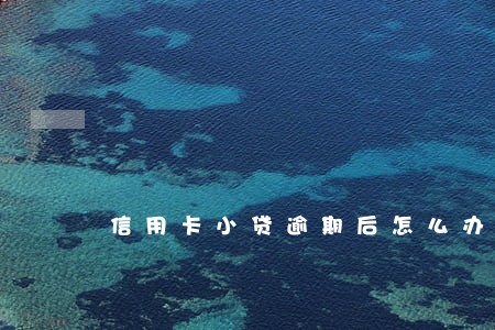 信用卡小贷逾期后怎么办