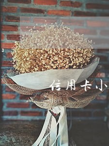 信用卡小贷都逾期了怎么办 信用卡小贷都逾期了怎么办