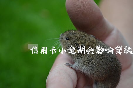 信用卡小逾期会影响贷款吗 信用卡小逾期会影响贷款吗