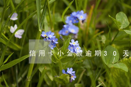 信用卡小金额逾期30天 信用卡小金额逾期30天