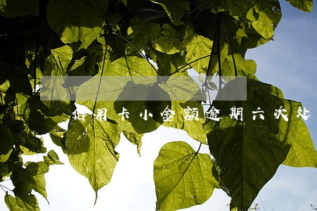 信用卡小金额逾期六次处理办法
