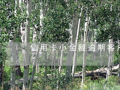 信用卡小金额逾期客户不怕法