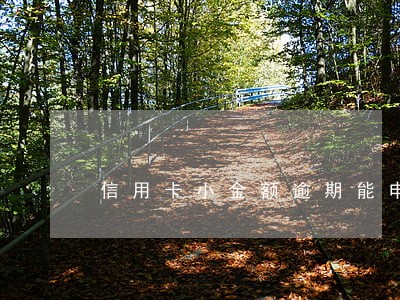 信用卡小金额逾期能申诉吗