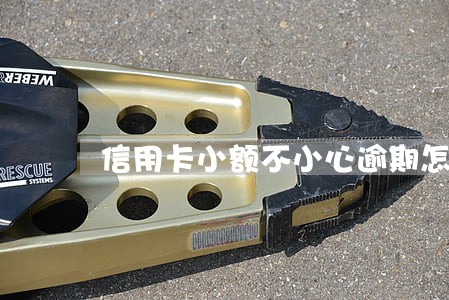 信用卡小额不小心逾期怎么办 信用卡小额不小心逾期怎么办