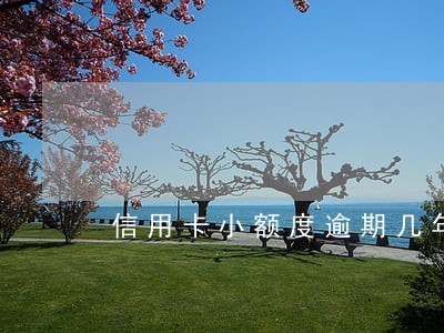 信用卡小额度逾期几年怎么办 信用卡小额度逾期几年怎么办