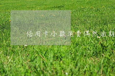 信用卡小额消费偶然逾期 信用卡小额消费偶然逾期