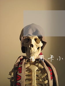 信用卡小额贷款逾期了怎么办 信用卡小额贷款逾期了怎么办